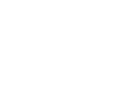 FU YAPI